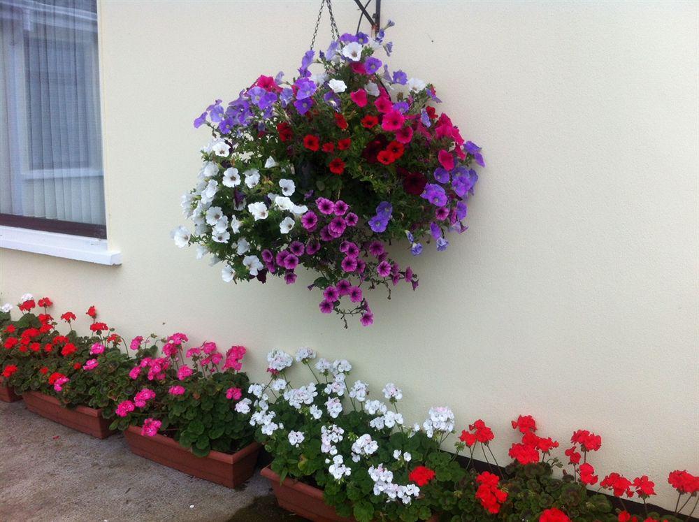Hillview Self Catering Appartement Lusk Buitenkant foto