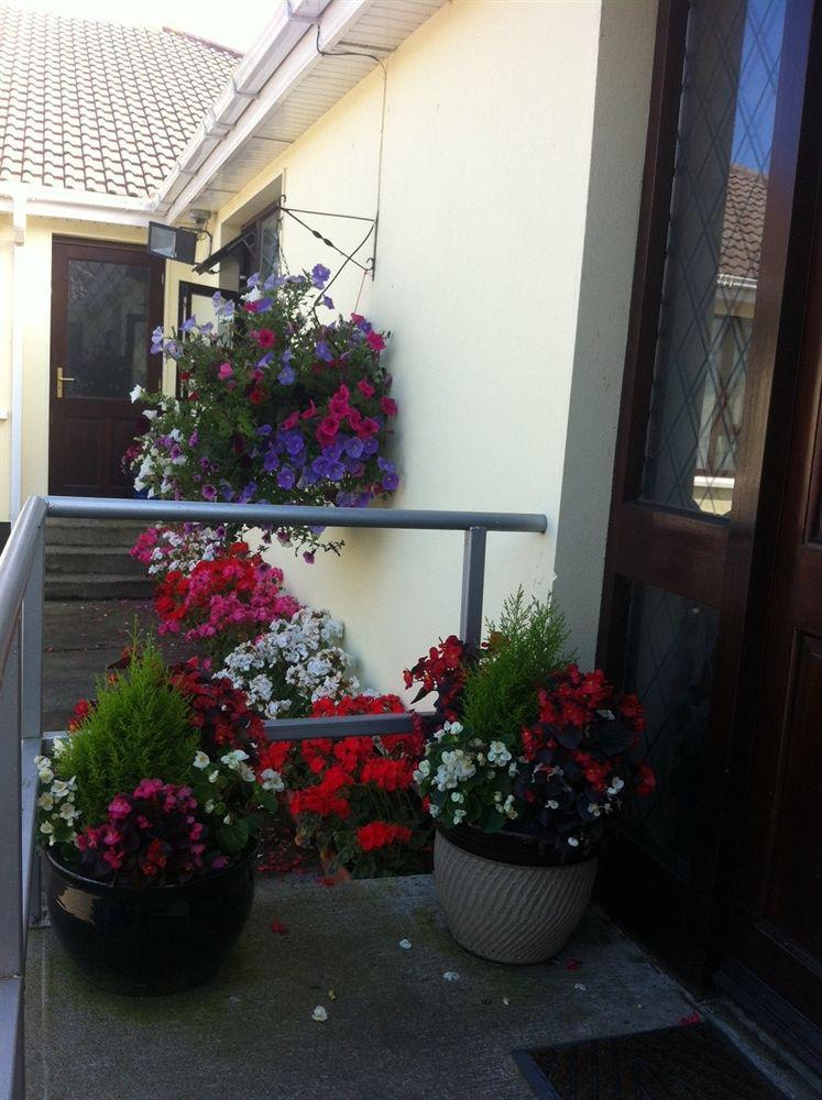 Hillview Self Catering Appartement Lusk Buitenkant foto